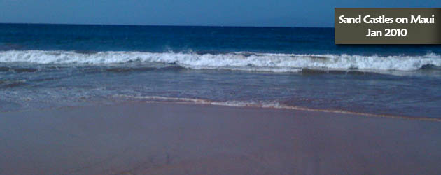 Sandcastles and Sculptures on Maui / January 2010