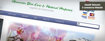 CloudNineHi.com
